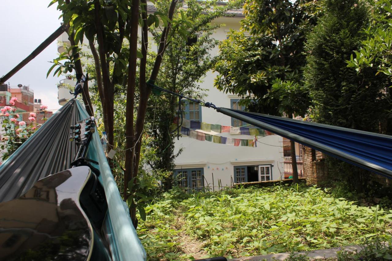 Homestay Kaji *