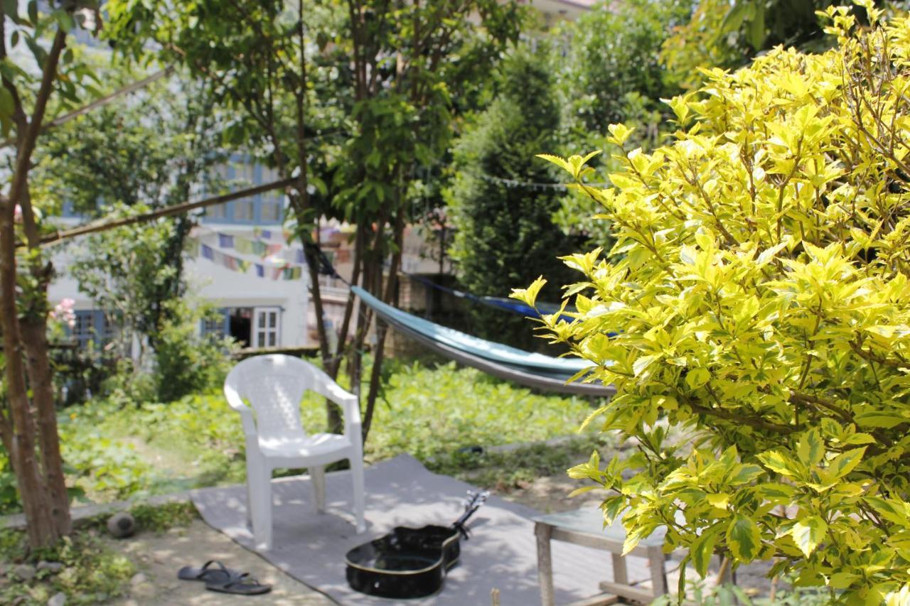 Homestay Kaji